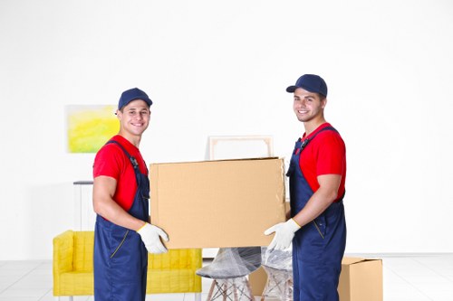 Professional removal services in Brockley for home moving support