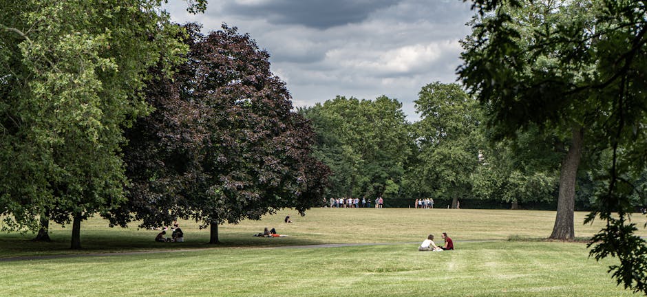 A large open park area with well-maintained grass and a variety of mature trees, including a dark-leafed tree on the left and bright green trees on the right and background. In the foreground, two peo