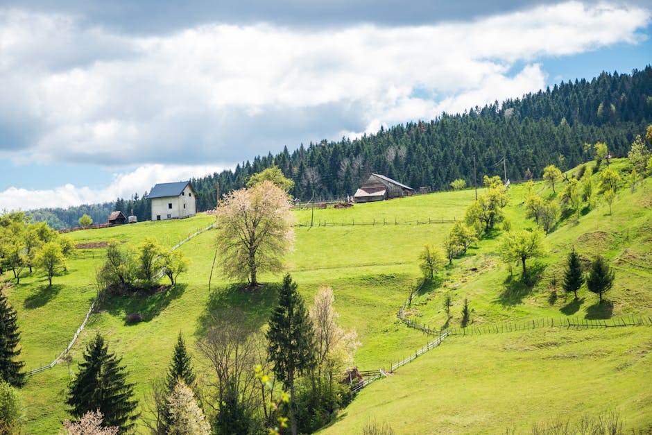 A scenic view of a rural hillside with lush green grass and a variety of trees, including some with light spring blossoms. Several wooden fences are visible, dividing different sections of the slope. At the top of the hill, there are a few scattered farm buildings and houses, some with dark roofs, surrounded by forested areas with dense, tall evergreen trees. The sky above is partly cloudy with patches of blue, providing natural lighting that highlights the vibrant greenery. This peaceful rural setting illustrates the typical environment where home relocation or moving services by Man and Van Brockley might be coordinated, especially when planning the loading and transport of household items from properties located in countryside areas with open, sloped terrain.